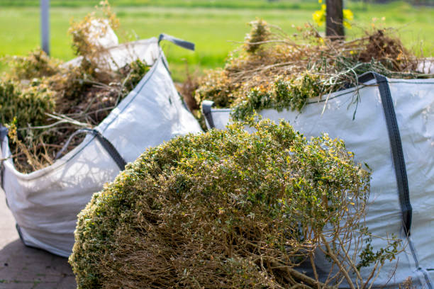 Best Basement Cleanout Services  in Buena Vista, CO