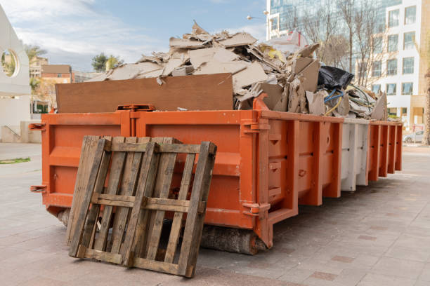 Best Household Junk Removal  in Buena Vista, CO